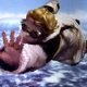 Image for article titled Square Enix On Final Fantasy Crystal Chronicles Canning Rumor
